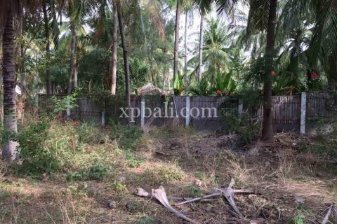 Земельный участок 1200м2 в Gili Trawangan, Гили-Индах, Северный Ломбок, Индонезия № 7914 2