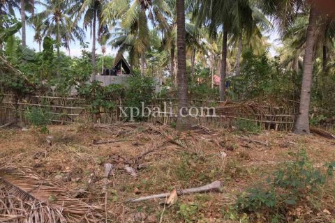 Земельный участок 1200м2 в Gili Trawangan, Гили-Индах, Северный Ломбок, Индонезия № 7914 3
