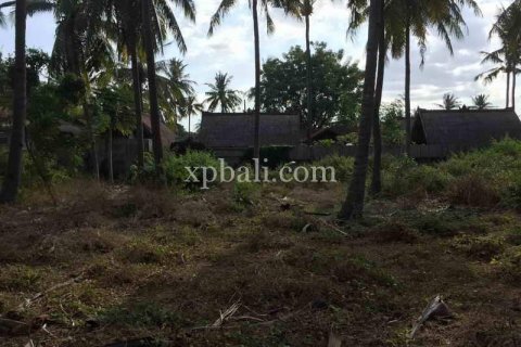 Земельный участок 1200м2 в Gili Trawangan, Гили-Индах, Северный Ломбок, Индонезия № 7914 7