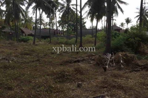 Земельный участок 1200м2 в Gili Trawangan, Гили-Индах, Северный Ломбок, Индонезия № 7914 4