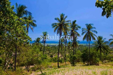 13652m2 Land in Indonesia No. 7917