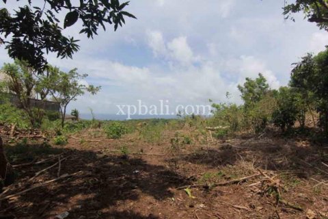 21440m2 Land in South Kuta, Badung, Indonesia No. 7915 6