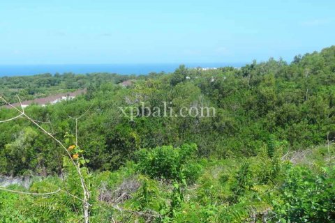 21440m2 Land in South Kuta, Badung, Indonesia No. 7915 3