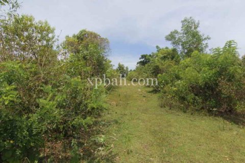 21440m2 Land in South Kuta, Badung, Indonesia No. 7915 7