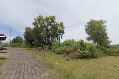 21440m2 Land in South Kuta, Badung, Indonesia No. 7915 2