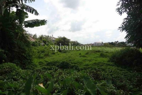 9600m2 Land in Tampaksiring, Gianyar, Indonesia No. 7916 7