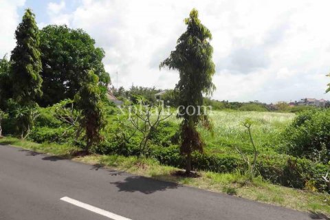 9600m2 Land in Tampaksiring, Gianyar, Indonesia No. 7916 5