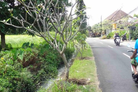 9600m2 Land in Tampaksiring, Gianyar, Indonesia No. 7916 3