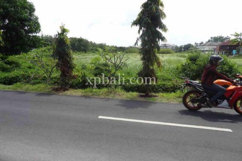 9600m2 Land in Tampaksiring, Gianyar, Indonesia No. 7916 6