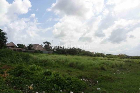 9600m2 Land in Tampaksiring, Gianyar, Indonesia No. 7916 4