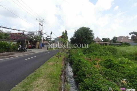 9600m2 Land in Tampaksiring, Gianyar, Indonesia No. 7916 2