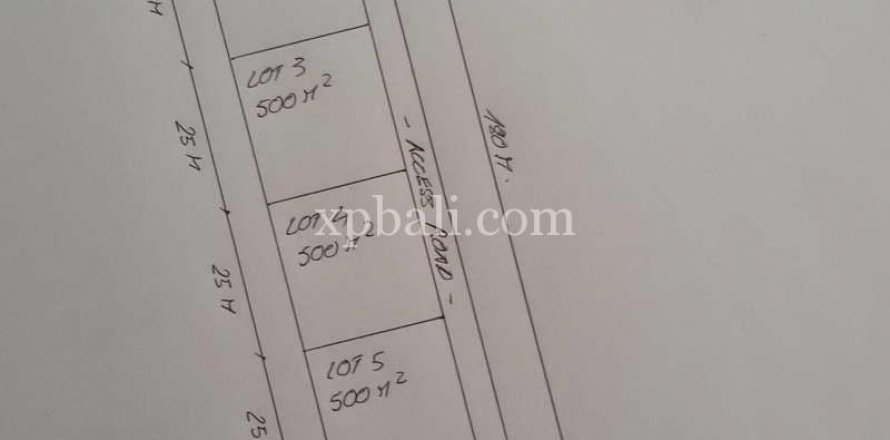 9600m2 Land in Tampaksiring, Gianyar, Indonesia No. 7916