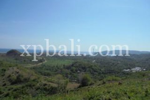 13800m2 Land in Indonesia No. 7911