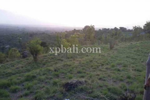 6000m2 Land in Lovina, Anturan, Buleleng, Indonesia No. 7912