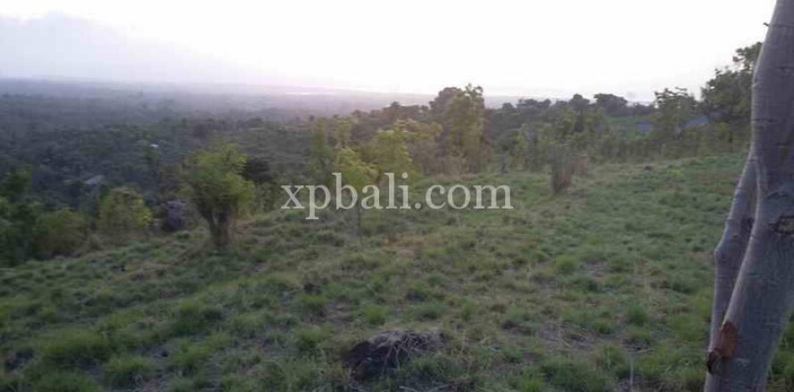 6000m2 Land in Lovina, Anturan, Buleleng, Indonesia No. 7912