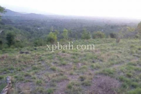 6000m2 Land in Lovina, Anturan, Buleleng, Indonesia No. 7912 5