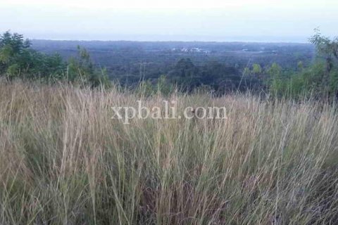 6000m2 Land in Lovina, Anturan, Buleleng, Indonesia No. 7912 3