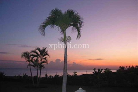 5100m2 Land in Lovina, Anturan, Buleleng, Indonesia No. 7943 8