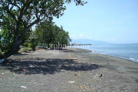 5100m2 Land in Lovina, Anturan, Buleleng, Indonesia No. 7943 12