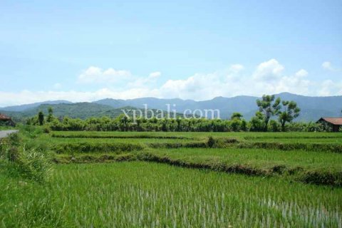 5100m2 Land in Lovina, Anturan, Buleleng, Indonesia No. 7943 10