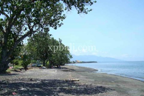 5100m2 Land in Lovina, Anturan, Buleleng, Indonesia No. 7943 2
