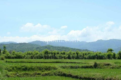 5100m2 Land in Lovina, Anturan, Buleleng, Indonesia No. 7943 6