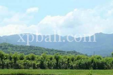5100m2 Land in Lovina, Anturan, Buleleng, Indonesia No. 7943 7