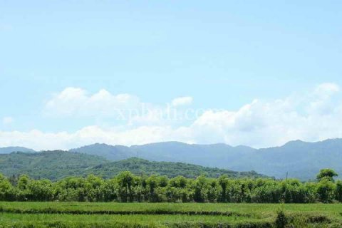 5100m2 Land in Lovina, Anturan, Buleleng, Indonesia No. 7943