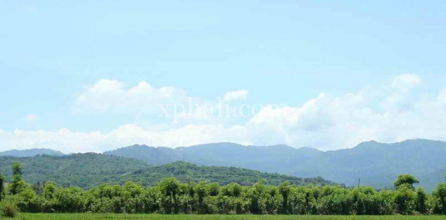 5100m2 Land in Lovina, Anturan, Buleleng, Indonesia No. 7943