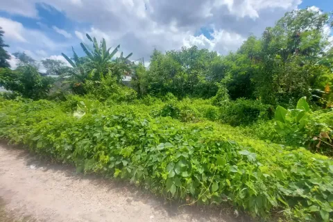 Land in Tumbak Bayuh, Mengwi, Badung, Indonesia No. 10504 7