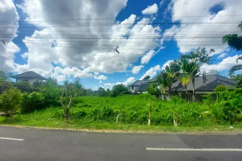 Land in Tumbak Bayuh, Mengwi, Badung, Indonesia No. 10504 5