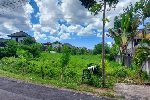 Land in Tumbak Bayuh, Mengwi, Badung, Indonesia No. 10504 4