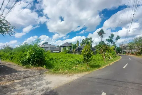 Land in Tumbak Bayuh, Mengwi, Badung, Indonesia No. 10504 8