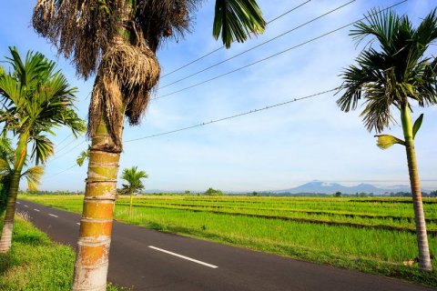 5 bedrooms Villa in Cemagi, Mengwi, Badung, Indonesia No. 7816 14