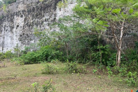 Land in Ungasan, Badung, Indonesia No. 11093 5
