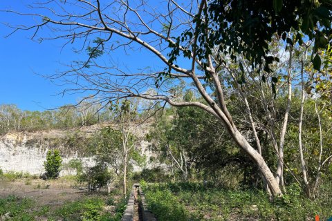 Land in Ungasan, Badung, Indonesia No. 11093 3