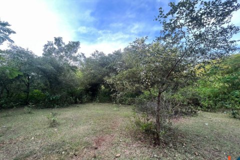 Land in Ungasan, Badung, Indonesia No. 11093 2