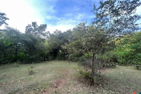 Land in Ungasan, Badung, Indonesia No. 11093 4