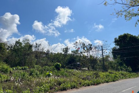 Land in Ungasan, Badung, Indonesia No. 11092 8