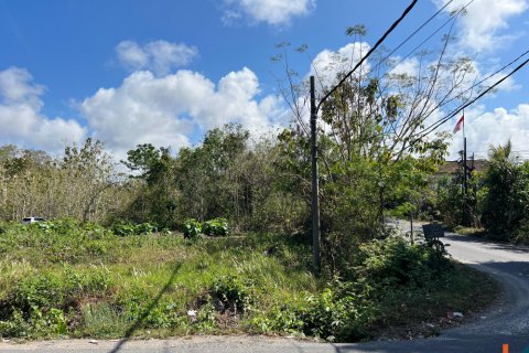 Land in Ungasan, Badung, Indonesia No. 11092 6