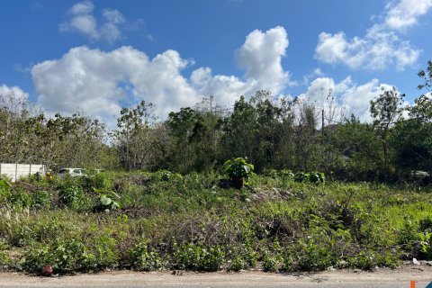 Land in Ungasan, Badung, Indonesia No. 11092 7