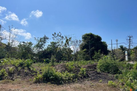 Land in Ungasan, Badung, Indonesia No. 11092 3