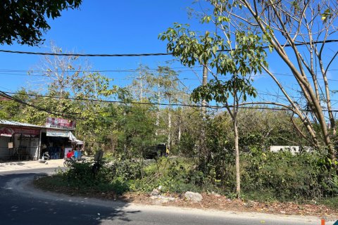 Land in Ungasan, Badung, Indonesia No. 11092 4