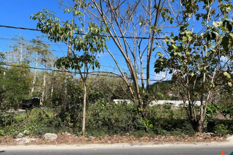 Land in Ungasan, Badung, Indonesia No. 11092 2