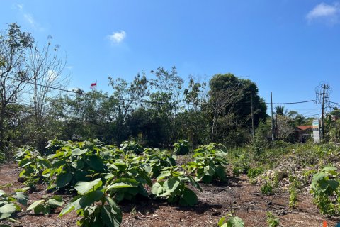 Land in Ungasan, Badung, Indonesia No. 11092