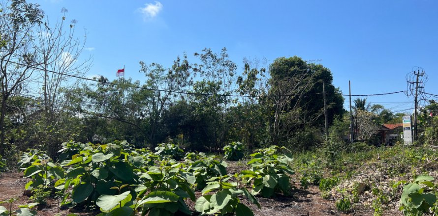 Land in Ungasan, Badung, Indonesia No. 11092