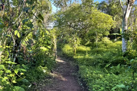 Land in Buleleng, Indonesia No. 10399 8