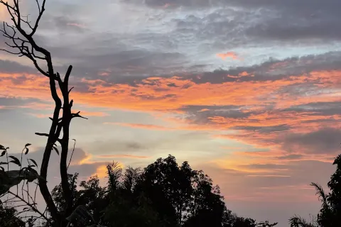 Land in Buleleng, Indonesia No. 10399 5