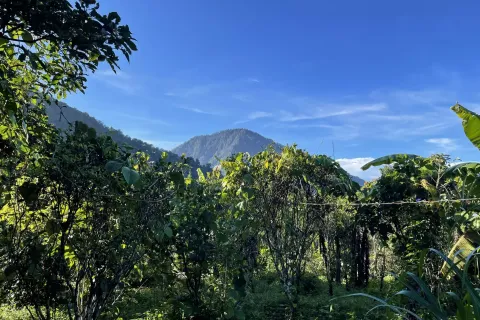Land in Buleleng, Indonesia No. 10399 7