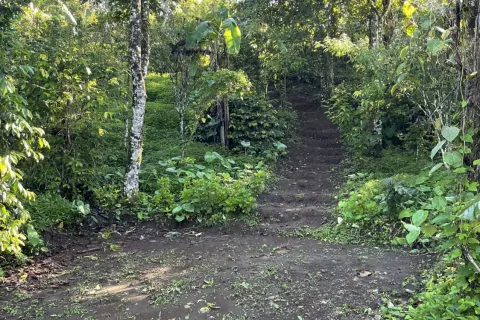 Land in Buleleng, Indonesia No. 10399 11